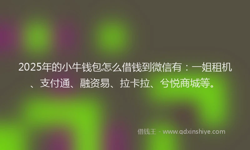 2025年的小牛钱包怎么借钱到微信有：一姐租机、支付通、融资易、拉卡拉、兮悦商城等。