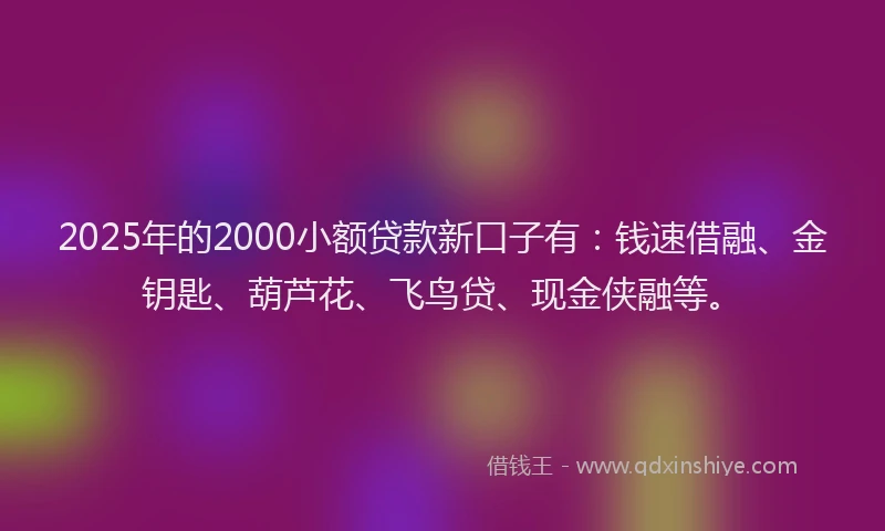 2025年的2000小额贷款新口子有：钱速借融、金钥匙、葫芦花、飞鸟贷、现金侠融等。