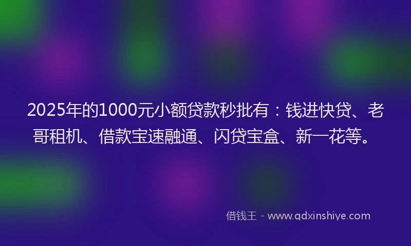 2025年的1000元小额贷款秒批有：钱进快贷、老哥租机、借款宝速融通、闪贷宝盒、新一花等。