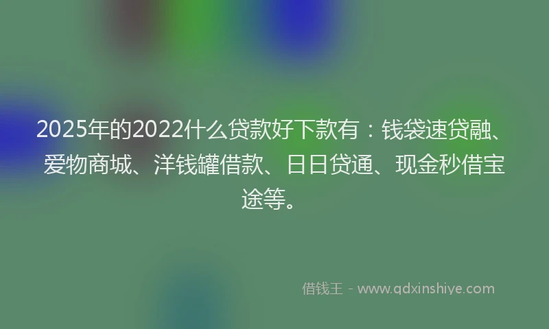 2025年的2022什么贷款好下款有：钱袋速贷融、爱物商城、洋钱罐借款、日日贷通、现金秒借宝途等。