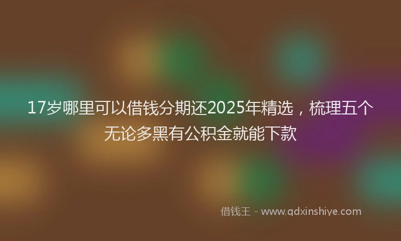 17岁哪里可以借钱分期还2025年精选，梳理五个无论多黑有公积金就能下款