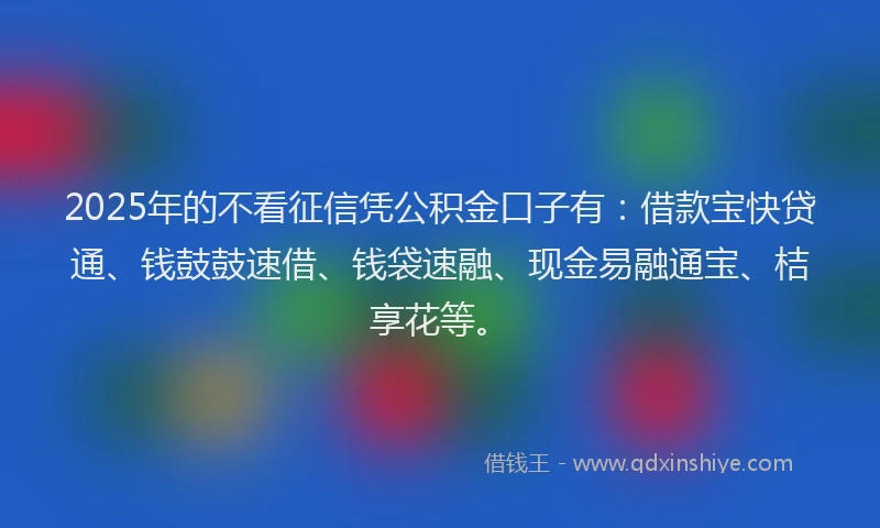 2025年的不看征信凭公积金口子有：借款宝快贷通、钱鼓鼓速借、钱袋速融、现金易融通宝、桔享花等。