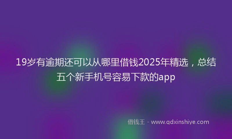 19岁有逾期还可以从哪里借钱2025年精选，总结五个新手机号容易下款的app