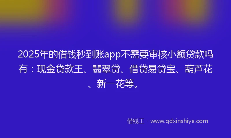 2025年的借钱秒到账app不需要审核小额贷款吗有：现金贷款王、翡翠贷、借贷易贷宝、葫芦花、新一花等。