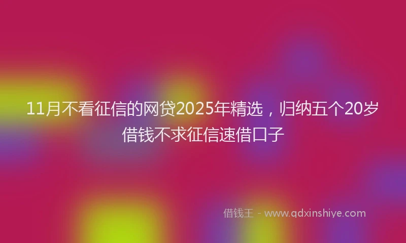 11月不看征信的网贷2025年精选，归纳五个20岁借钱不求征信速借口子