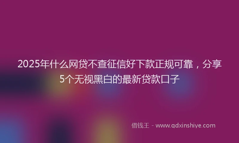 2025年什么网贷不查征信好下款正规可靠，分享5个无视黑白的最新贷款口子
