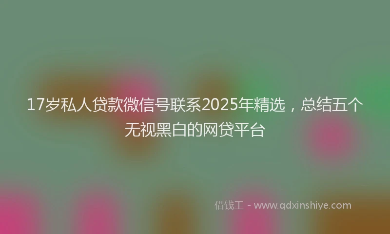 17岁私人贷款微信号联系2025年精选，总结五个无视黑白的网贷平台