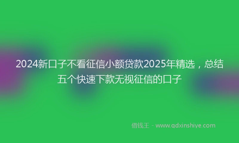 2024新口子不看征信小额贷款2025年精选，总结五个快速下款无视征信的口子