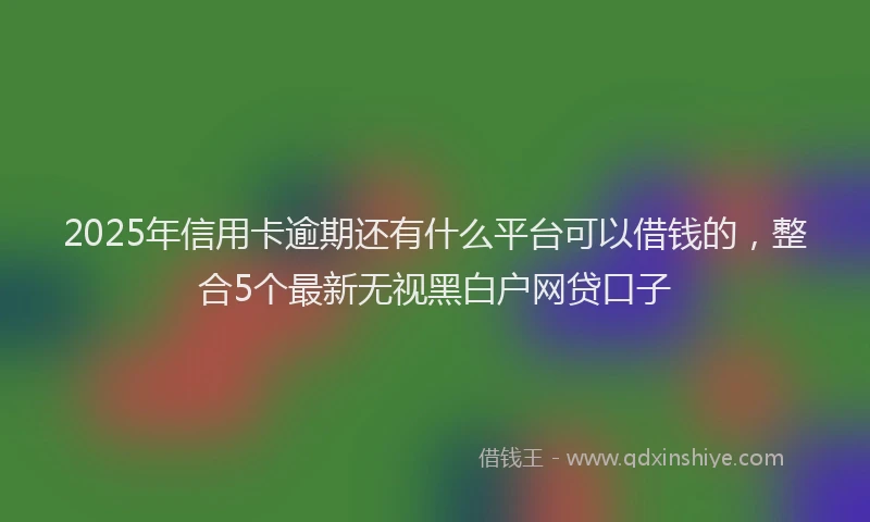 2025年信用卡逾期还有什么平台可以借钱的，整合5个最新无视黑白户网贷口子