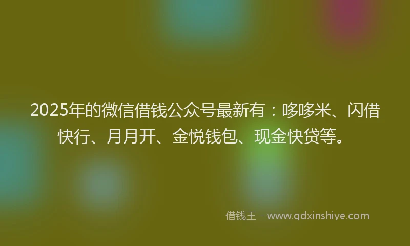 2025年的微信借钱公众号最新有：哆哆米、闪借快行、月月开、金悦钱包、现金快贷等。