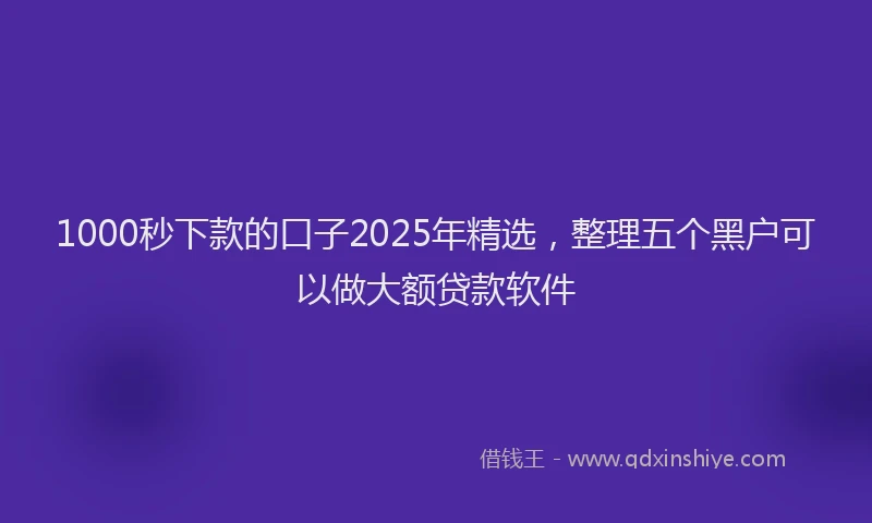1000秒下款的口子2025年精选，整理五个黑户可以做大额贷款软件