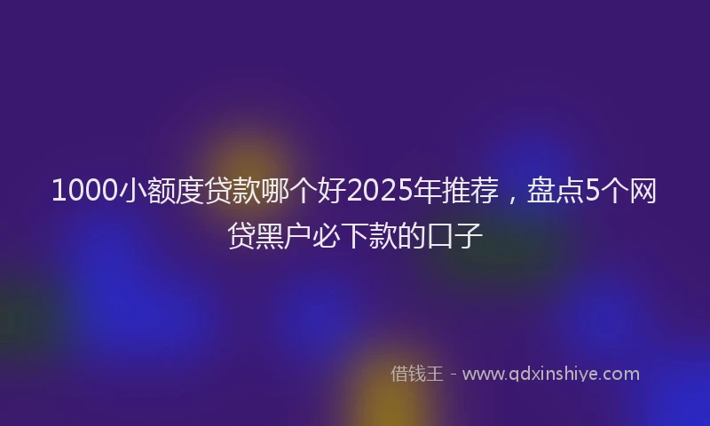 1000小额度贷款哪个好2025年推荐，盘点5个网贷黑户必下款的口子