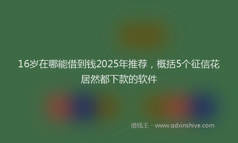 16岁在哪能借到钱2025年推荐，概括5个征信花居然都下款的软件