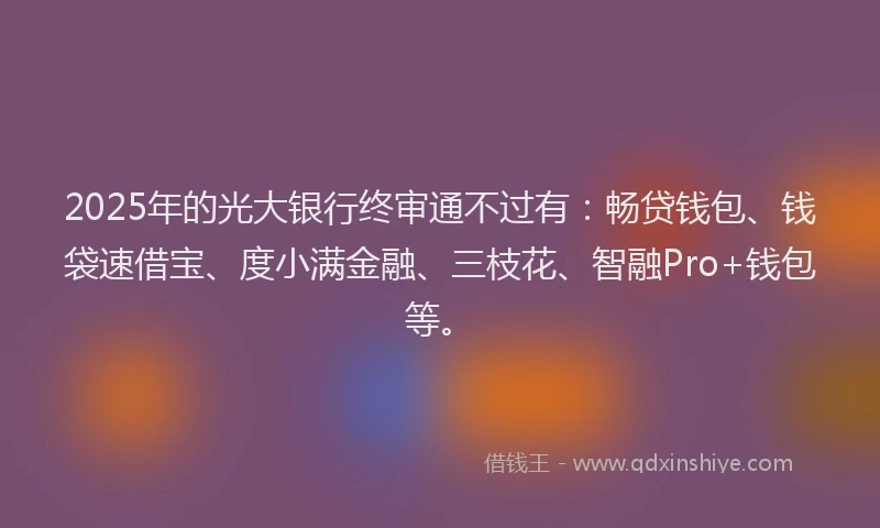 2025年的光大银行终审通不过有：畅贷钱包、钱袋速借宝、度小满金融、三枝花、智融Pro+钱包等。