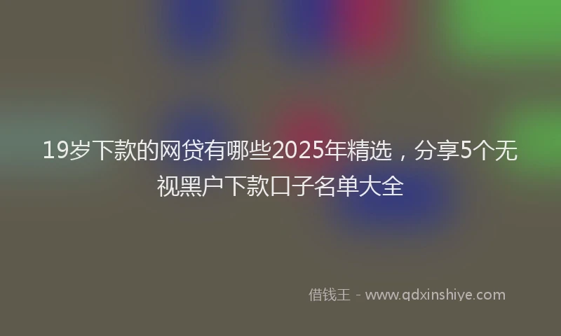 19岁下款的网贷有哪些2025年精选，分享5个无视黑户下款口子名单大全