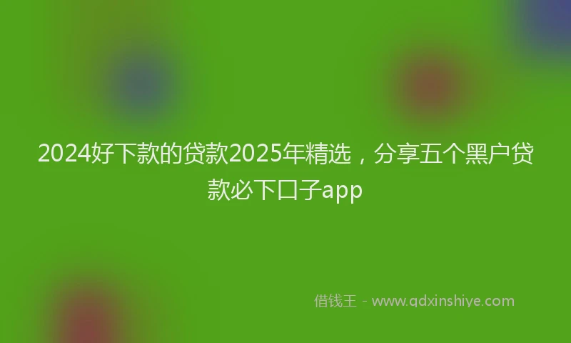 2024好下款的贷款2025年精选，分享五个黑户贷款必下口子app