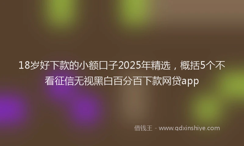 18岁好下款的小额口子2025年精选，概括5个不看征信无视黑白百分百下款网贷app