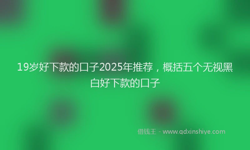 19岁好下款的口子2025年推荐，概括五个无视黑白好下款的口子