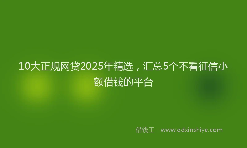 10大正规网贷2025年精选，汇总5个不看征信小额借钱的平台