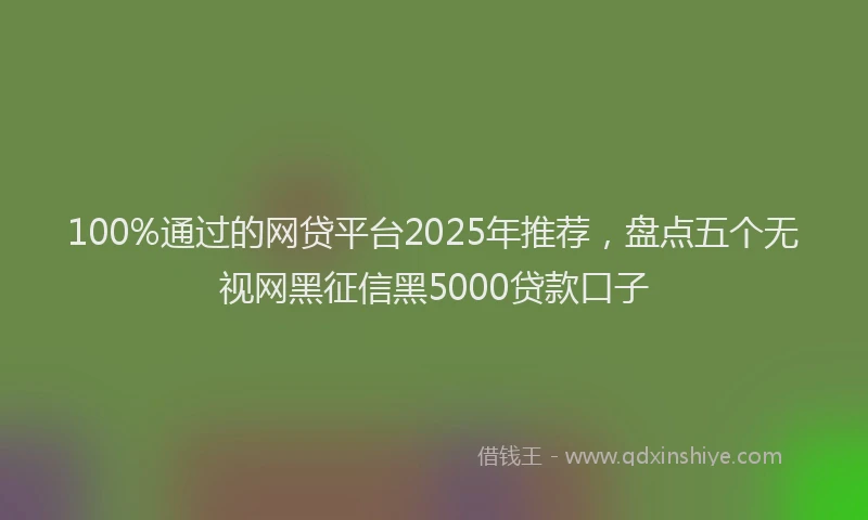 100%通过的网贷平台2025年推荐，盘点五个无视网黑征信黑5000贷款口子