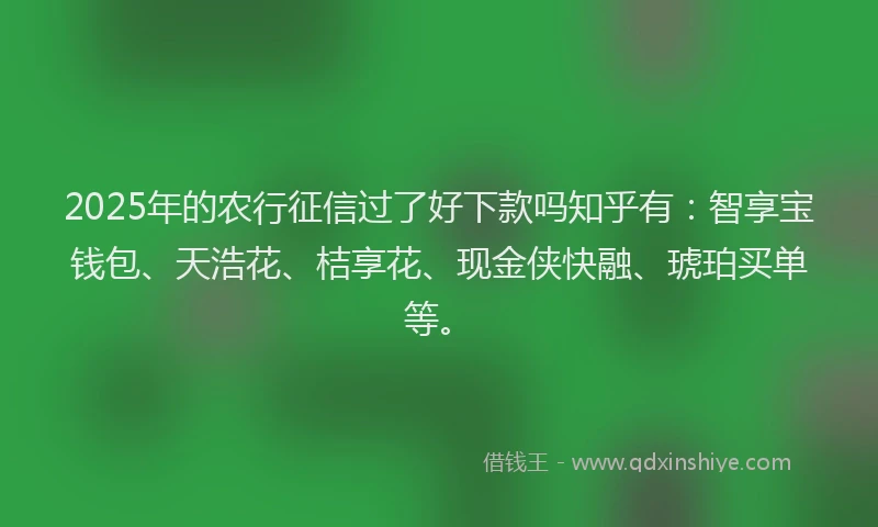 2025年的农行征信过了好下款吗知乎有：智享宝钱包、天浩花、桔享花、现金侠快融、琥珀买单等。
