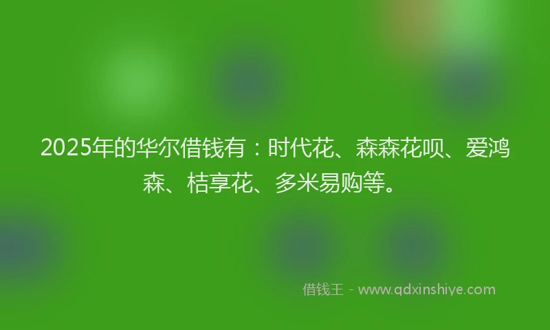 2025年的华尔借钱有：时代花、森森花呗、爱鸿森、桔享花、多米易购等。