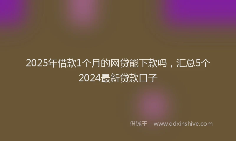 2025年借款1个月的网贷能下款吗，汇总5个2024最新贷款口子