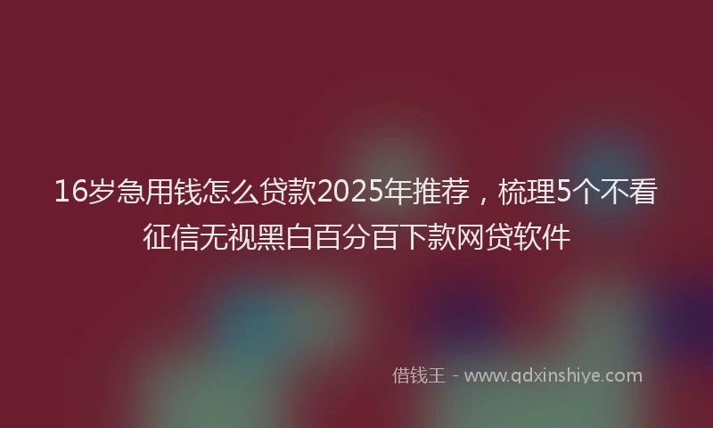 16岁急用钱怎么贷款2025年推荐，梳理5个不看征信无视黑白百分百下款网贷软件