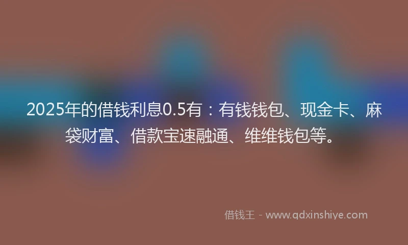 2025年的借钱利息0.5有：有钱钱包、现金卡、麻袋财富、借款宝速融通、维维钱包等。