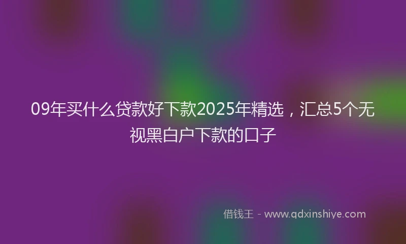 09年买什么贷款好下款2025年精选，汇总5个无视黑白户下款的口子