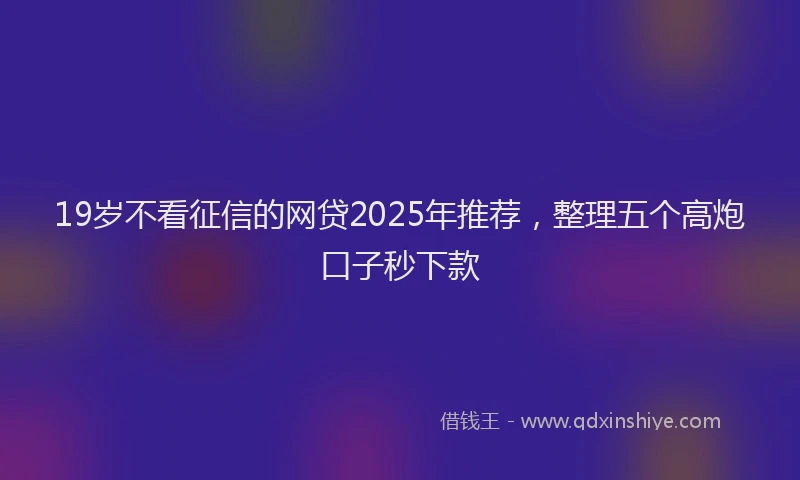 19岁不看征信的网贷2025年推荐，整理五个高炮口子秒下款