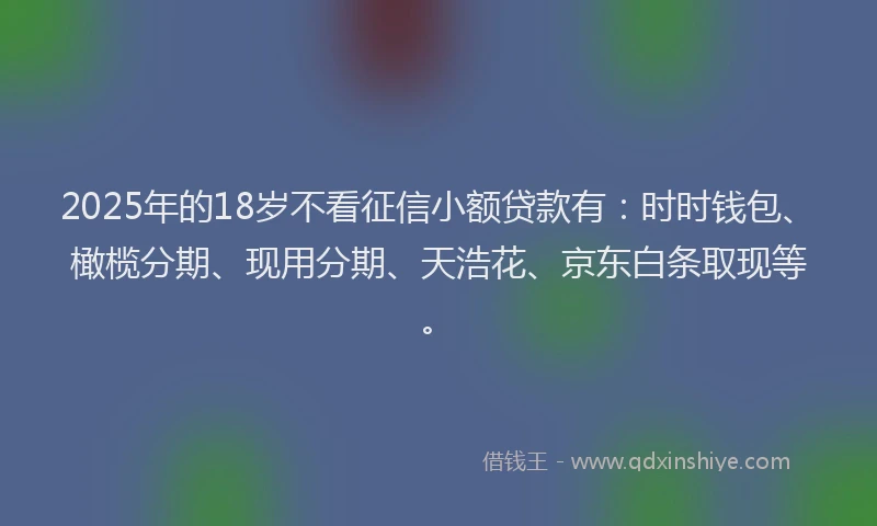 2025年的18岁不看征信小额贷款有：时时钱包、橄榄分期、现用分期、天浩花、京东白条取现等。