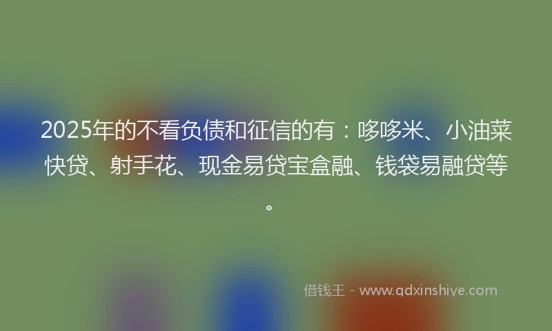 2025年的不看负债和征信的有：哆哆米、小油菜快贷、射手花、现金易贷宝盒融、钱袋易融贷等。
