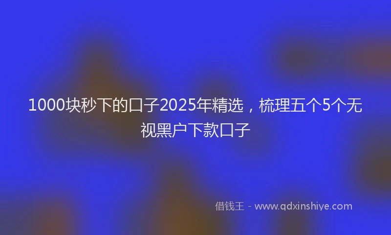1000块秒下的口子2025年精选，梳理五个5个无视黑户下款口子