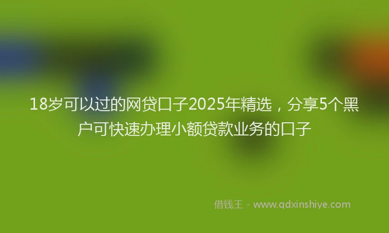 18岁可以过的网贷口子2025年精选，分享5个黑户可快速办理小额贷款业务的口子