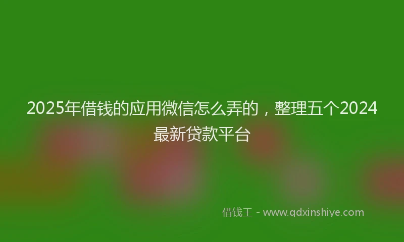 2025年借钱的应用微信怎么弄的，整理五个2024最新贷款平台
