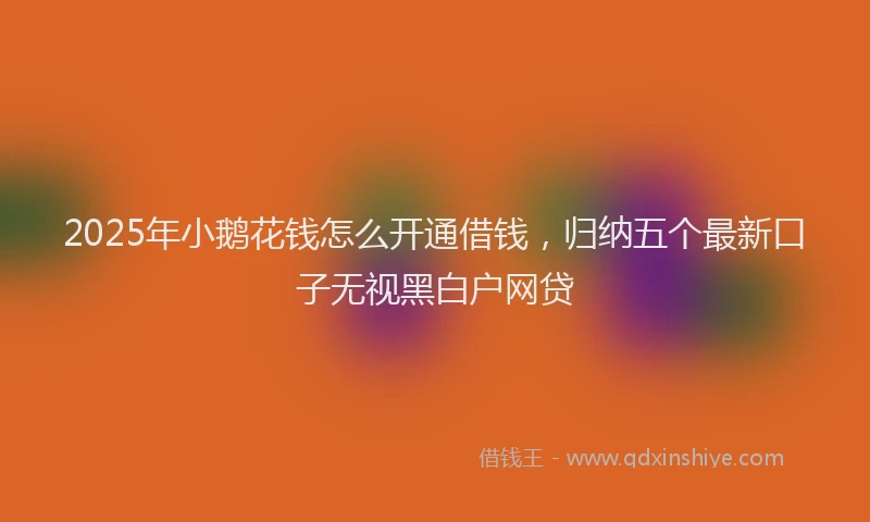 2025年小鹅花钱怎么开通借钱，归纳五个最新口子无视黑白户网贷
