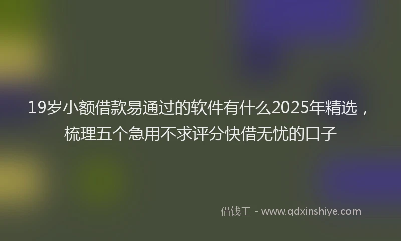 19岁小额借款易通过的软件有什么2025年精选，梳理五个急用不求评分快借无忧的口子
