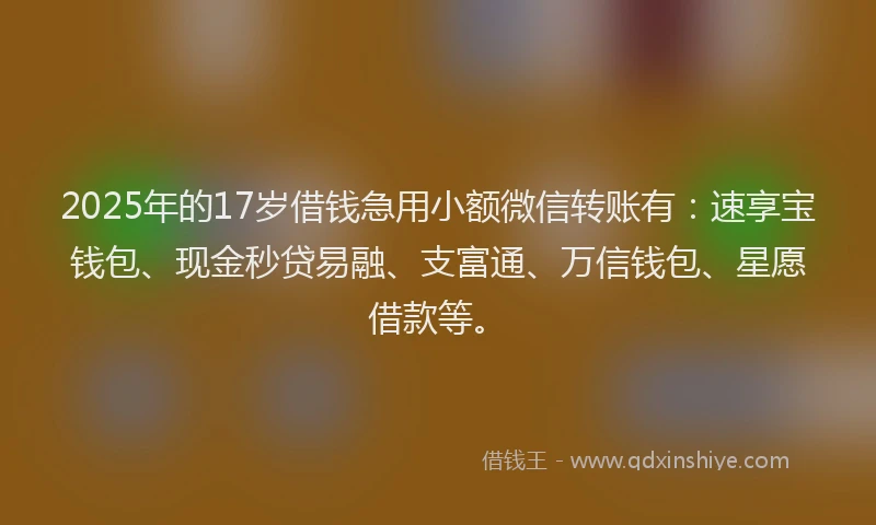 2025年的17岁借钱急用小额微信转账有：速享宝钱包、现金秒贷易融、支富通、万信钱包、星愿借款等。