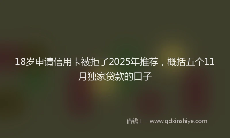 18岁申请信用卡被拒了2025年推荐，概括五个11月独家贷款的口子