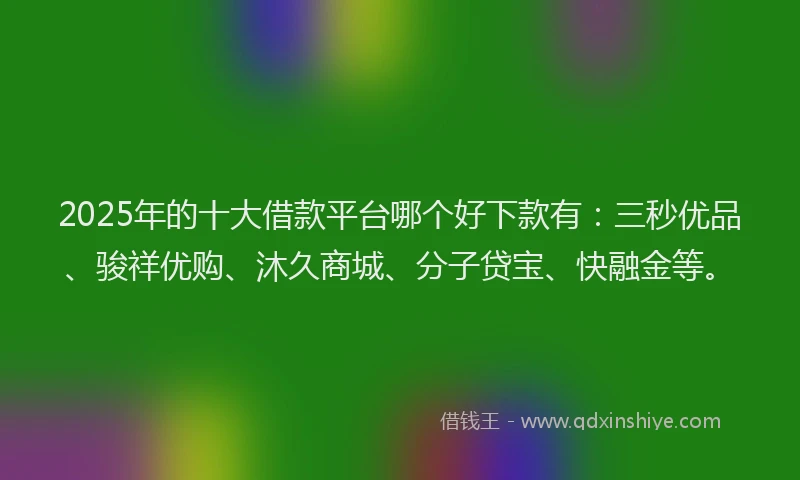 2025年的十大借款平台哪个好下款有：三秒优品、骏祥优购、沐久商城、分子贷宝、快融金等。