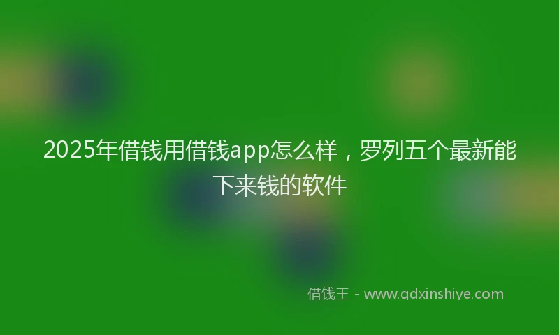 2025年借钱用借钱app怎么样，罗列五个最新能下来钱的软件
