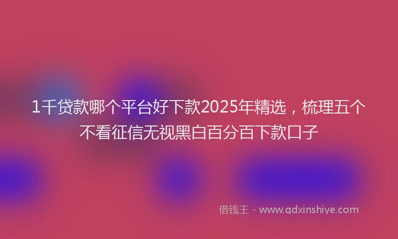 1千贷款哪个平台好下款2025年精选，梳理五个不看征信无视黑白百分百下款口子