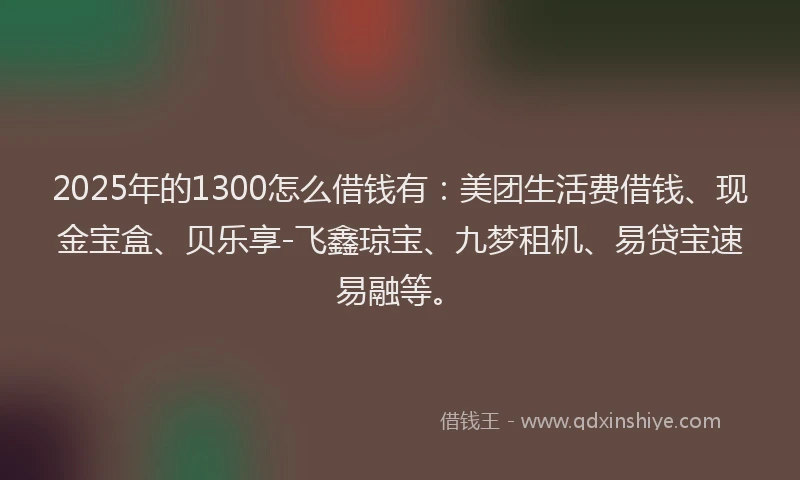 2025年的1300怎么借钱有：美团生活费借钱、现金宝盒、贝乐享-飞鑫琼宝、九梦租机、易贷宝速易融等。