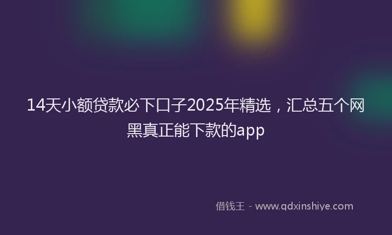 14天小额贷款必下口子2025年精选，汇总五个网黑真正能下款的app