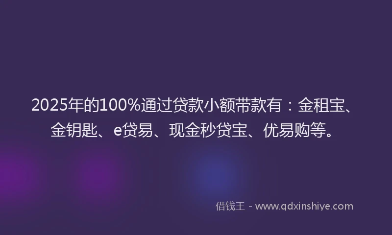 2025年的100%通过贷款小额带款有：金租宝、金钥匙、e贷易、现金秒贷宝、优易购等。
