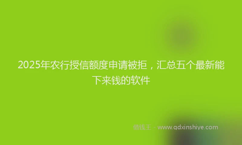 2025年农行授信额度申请被拒，汇总五个最新能下来钱的软件