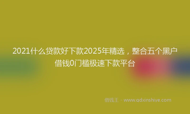 2021什么贷款好下款2025年精选，整合五个黑户借钱0门槛极速下款平台