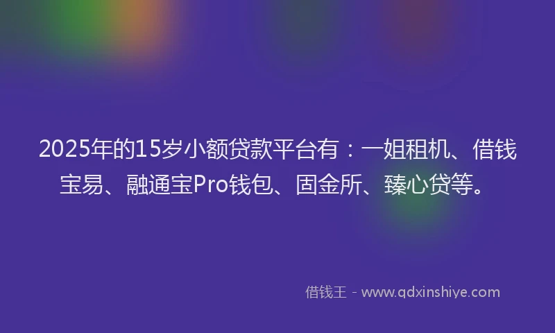 2025年的15岁小额贷款平台有：一姐租机、借钱宝易、融通宝Pro钱包、固金所、臻心贷等。
