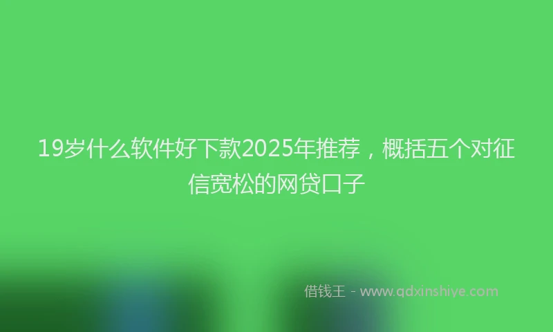 19岁什么软件好下款2025年推荐，概括五个对征信宽松的网贷口子
